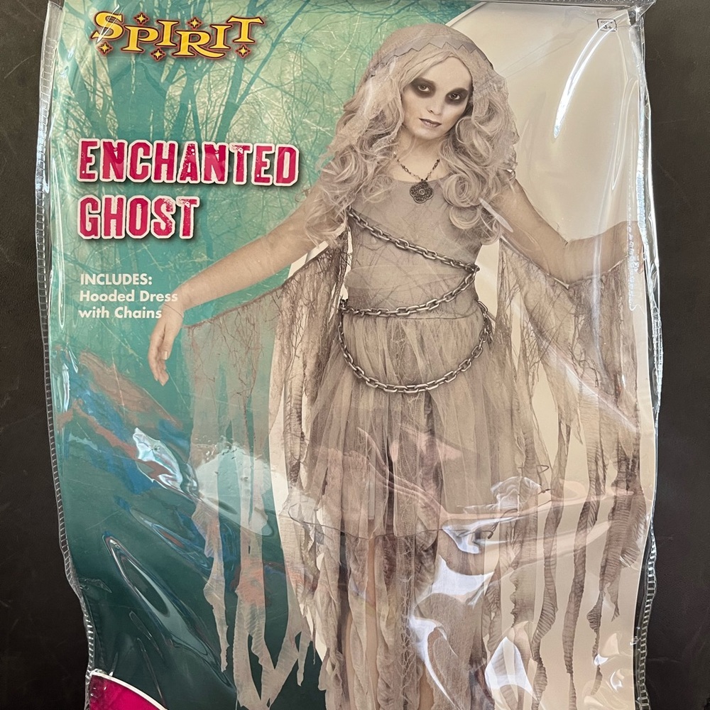 Spirit Ghost in Chains costume
